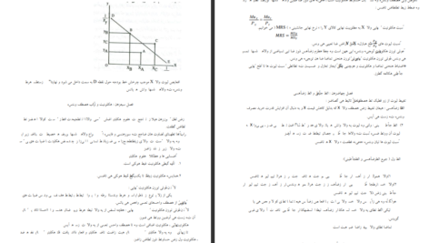 دانلود جزوه خلاصه اقتصاد خرد