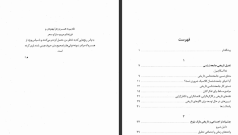 دانلود کتاب بینش و روش در جامعه شناسی تاریخی تدا اسکاچپول