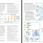 دانلود کتاب Lehninger Principles Of Biochemistry دیوید ال نیلسون