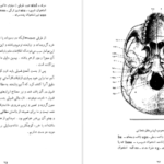 دانلود کتاب سنگواره های انسان عصر حجر دکتر روبر ژولین