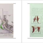 دانلود کتاب یوگا و آناتومی ری لانگ