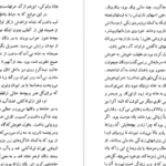 دانلود کتاب شلغم میوه بهشته علی محمد افغانی