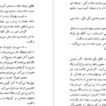 دانلود کتاب شلغم میوه بهشته علی محمد افغانی