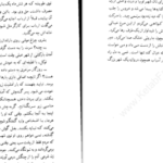 دانلود کتاب بوته زار علی محمد افغانی