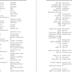 دانلود کتاب فرهنگ لغت آلمانی به فارسی جلد 2 فیروز ابراهیم نسبت