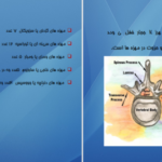 دانلود کتاب اناتومی استخوان شناسی مرتضی بهرامی نژاد