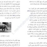 دانلود کتاب انقراض ششم الیزابت کلبرت
