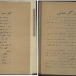 دانلود کتاب دیوان عشقی سلیمی