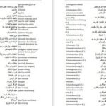 دانلود کتاب فرهنگ آلمانی فارسی فیروز ابراهیم نسبت