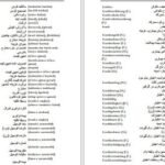 دانلود کتاب فرهنگ آلمانی فارسی فیروز ابراهیم نسبت