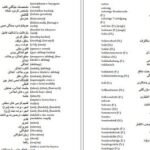 دانلود کتاب فرهنگ آلمانی فارسی فیروز ابراهیم نسبت