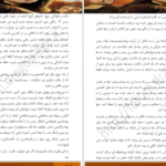 دانلود کتاب میزبان استفنی مه‌یر