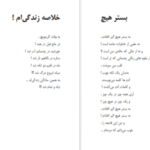 دانلود کتاب شاعر ژولیده کاوه نادی حیدری