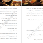 دانلود کتاب میزبان استفنی مه‌یر