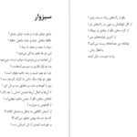 دانلود کتاب شاعر ژولیده کاوه نادی حیدری