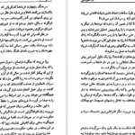 دانلود کتاب زن شورشی ماکس گالو